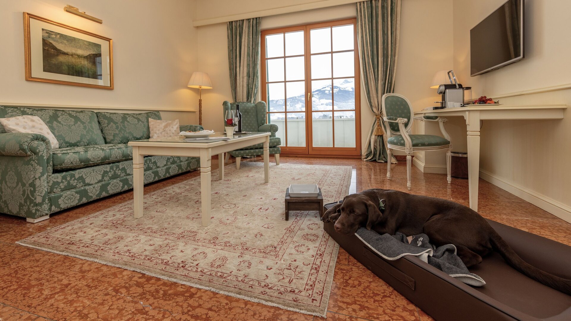A brown dog lies in a dog bed in a hotel room with a sofa, table, desk and a mountain view through the window.