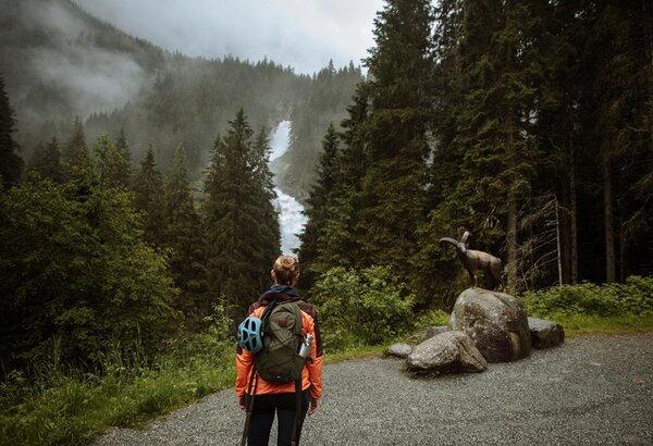 A person with a backpack stands on a forest trail, looking into a misty mountain valley with a waterfall.