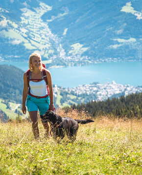 Ein Sommertag mit Hund am See
